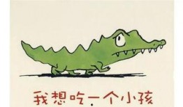 娱乐吃瓜 小故事视频,揭秘小故事背后的娱乐圈风云