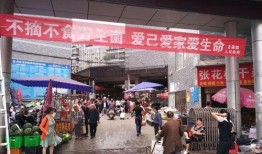 古蔺餐馆爆料视频大全集