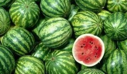 杭州吃瓜事件网红,网红争议背后的网络狂欢与反思