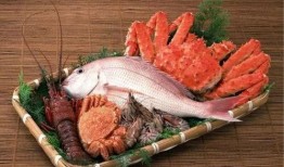 海鲜工厂爆料视频,独家爆料视频曝光幕后真相