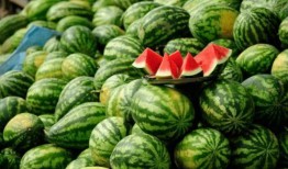 吃网红瓜的平台叫啥名字,揭秘热门话题背后的秘密