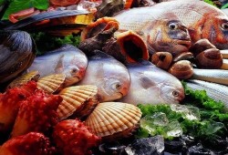 海鲜工厂爆料视频,独家爆料视频曝光幕后真相