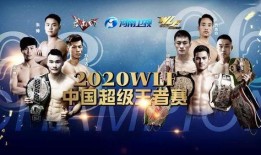 9武林风直播在线观看,在线见证巅峰对决