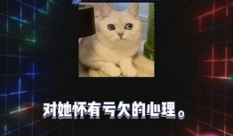 娱乐吃瓜718在线,718在线带你吃瓜狂欢