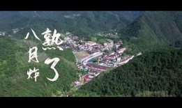 襄阳南漳九集最新爆料,揭秘神秘故事背后的历史真相