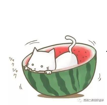 吃瓜群众图片卡通头像,吃瓜群众卡通头像大揭秘