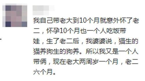吐槽娱乐吃瓜酱的文案,吃瓜群众辣评风云