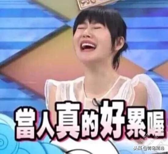 娱乐圈吃瓜系统文推荐,揭秘明星背后的那些事